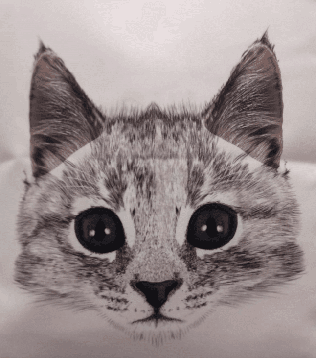 OikionShop Τσάντα Πολλαπλών Χρήσεων Grey Cat